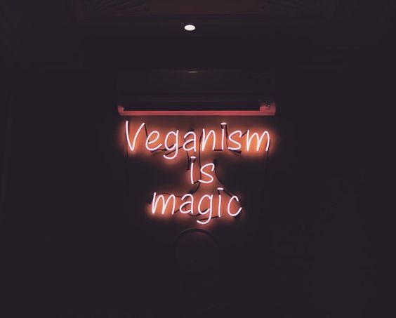 Vegan Vibes